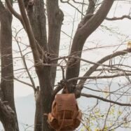 Moss-Distressed-Leather-Backpack-style7