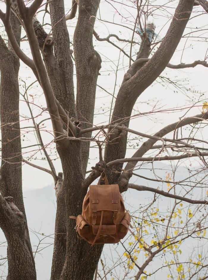 Moss-Distressed-Leather-Backpack-style7 Moss-Distressed-Leather-Backpack-style7